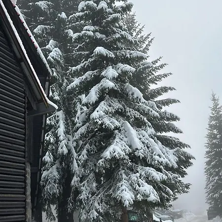 Daire Montana 9 Kopaonik