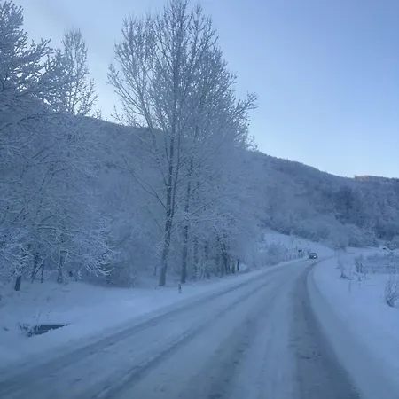 Montana 9 * Kopaonik