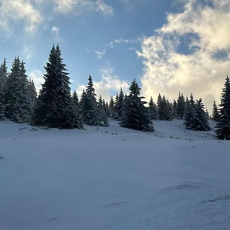 Montana 9 Daire Kopaonik